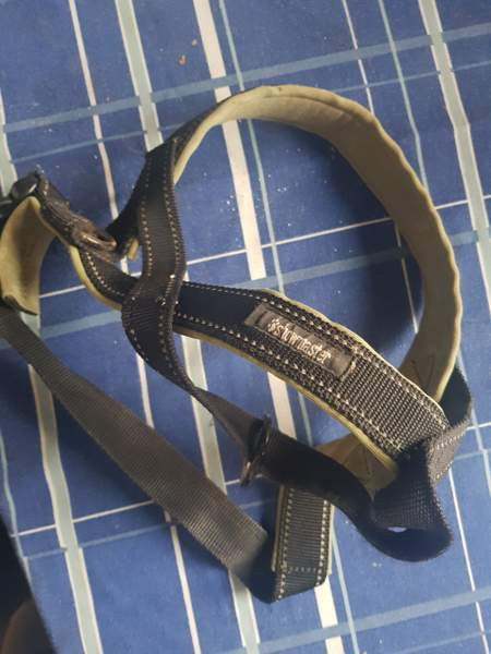 Koiran valjaat ja jotain muuta.. Эспоо - изображение 1