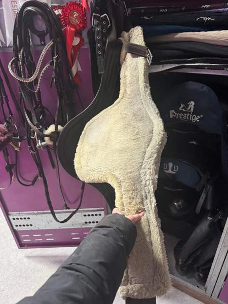 Kentucky karvapanssari Tampere - valokuva 2