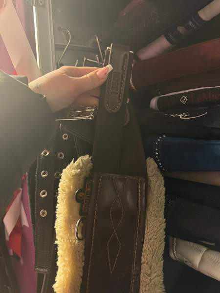 Kentucky karvapanssari Tampere - valokuva 3