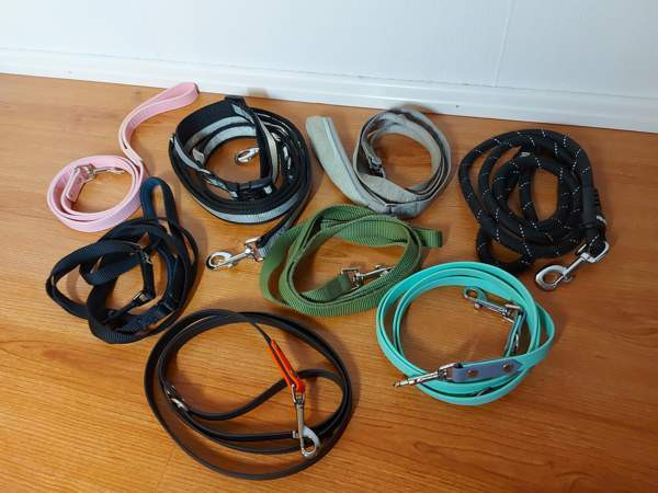 Hihnoja Raasepori – foto 1