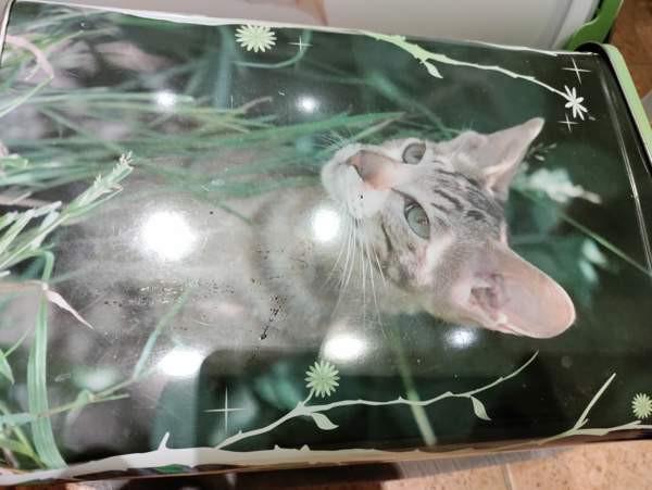 Purkki 2 kpl Каарина - изображение 3