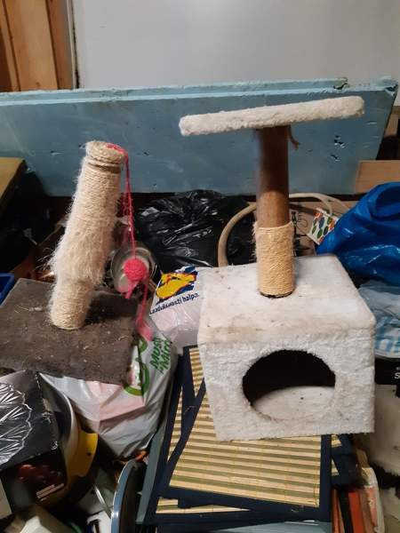 Raapimispuita Harjavalta - photo 1