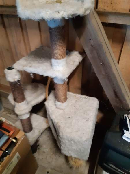 Raapimispuita Harjavalta - photo 2