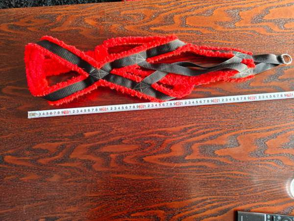 Vetovaljaat Kemi - valokuva 2