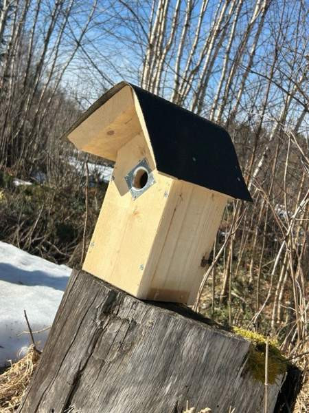 50kpl laadukkaita linnunpönttöjä Parkano - изображение 1