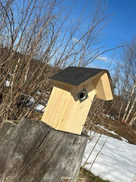 50kpl laadukkaita linnunpönttöjä Parkano - изображение 5