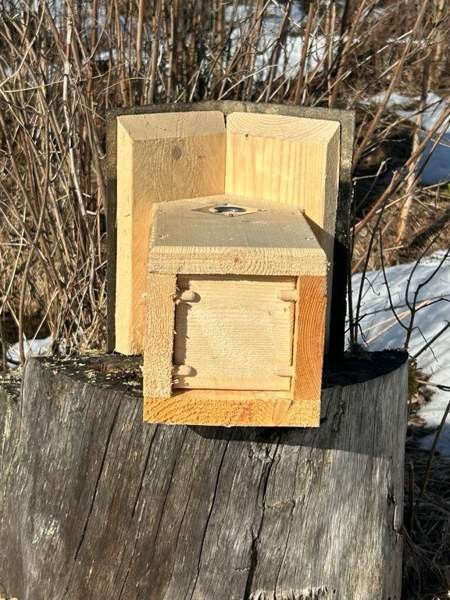 50kpl laadukkaita linnunpönttöjä Parkano - изображение 4