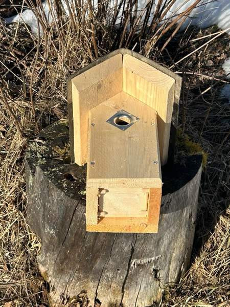 50kpl laadukkaita linnunpönttöjä Parkano - изображение 3