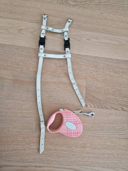 Kissan valjaat ja fleksi Espoo - valokuva 2