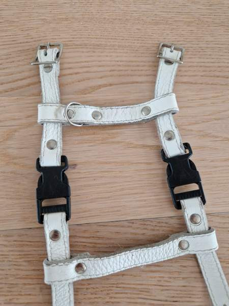 Kissan valjaat ja fleksi Espoo - valokuva 3