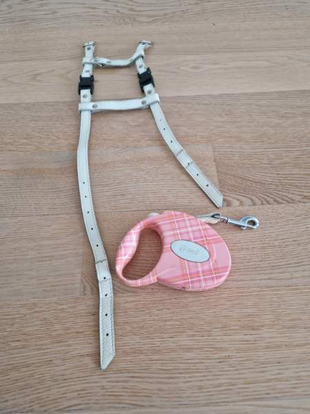 Kissan valjaat ja fleksi Espoo - valokuva 1