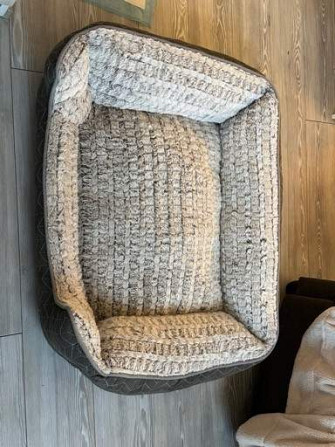 Dog bed & Koiran sänky Helsinki - valokuva 2