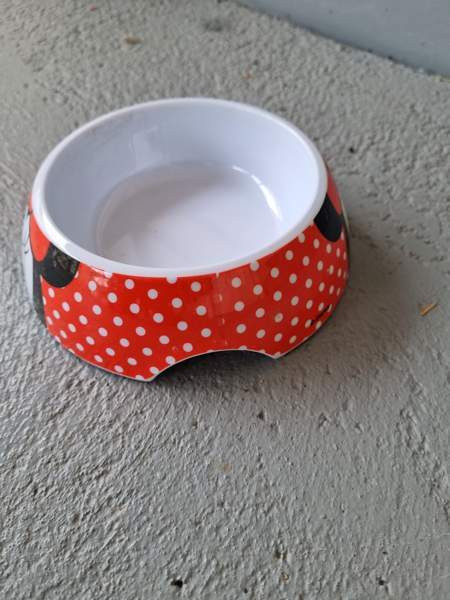 Minnie ruokakuppi Lahti - valokuva 2