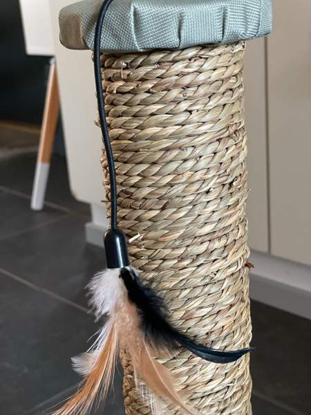 UUSI raapimispuu Tuusula - valokuva 3