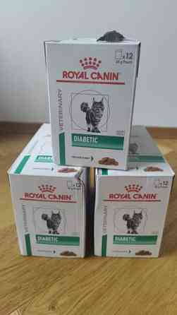 Royal canin diabetic kissanruoka Эспоо