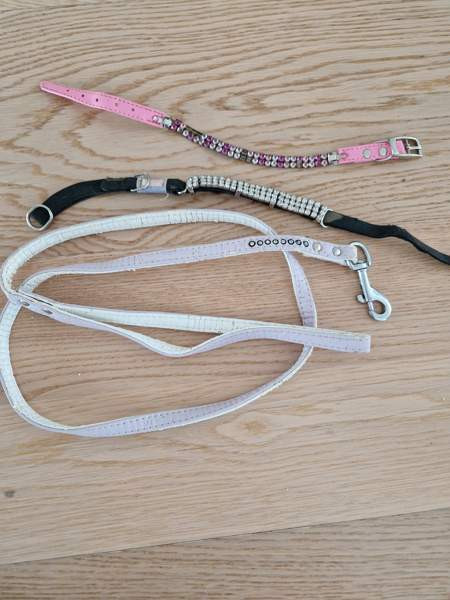 Kissan kaulapanta x 2 ja talutushihna Espoo - photo 1