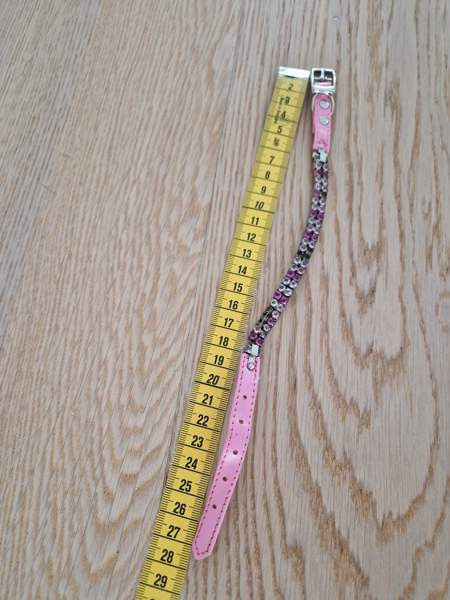 Kissan kaulapanta x 2 ja talutushihna Espoo - photo 2