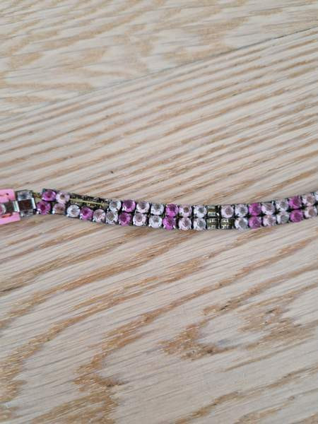 Kissan kaulapanta x 2 ja talutushihna Espoo - photo 4