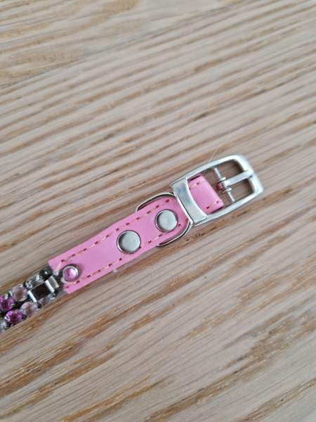 Kissan kaulapanta x 2 ja talutushihna Espoo - photo 5