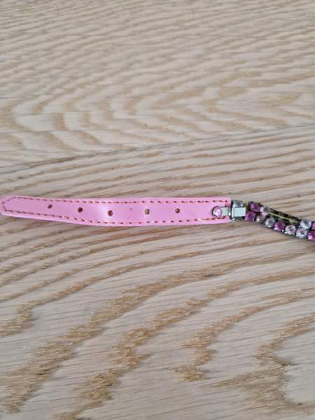 Kissan kaulapanta x 2 ja talutushihna Espoo - photo 3