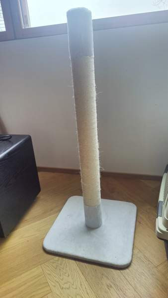 Kissan raapimapuu Espoo - valokuva 1