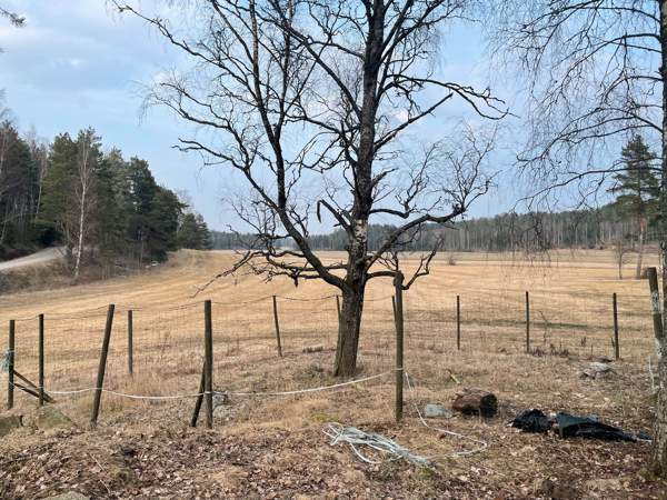 Hirviaita Sauvo - photo 1