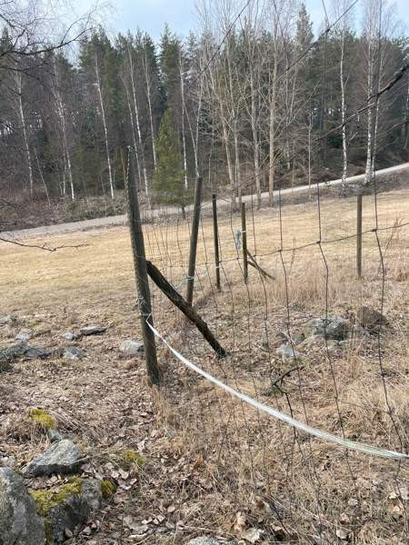 Hirviaita Sauvo - photo 3