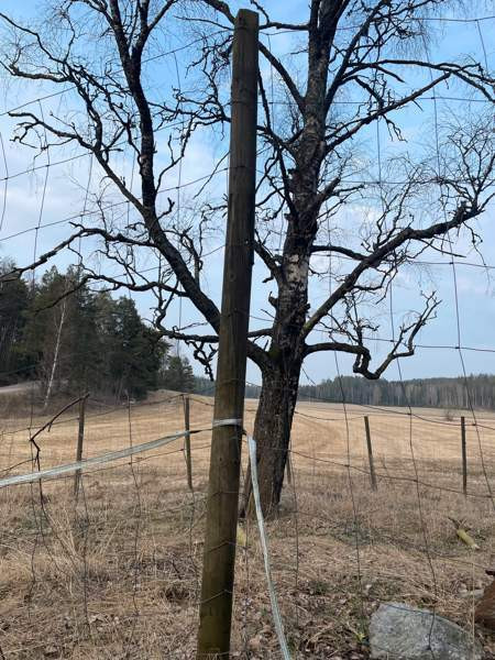 Hirviaita Sauvo - photo 2