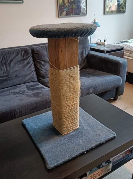 Kissan raapimapuu Rovaniemi - valokuva 1