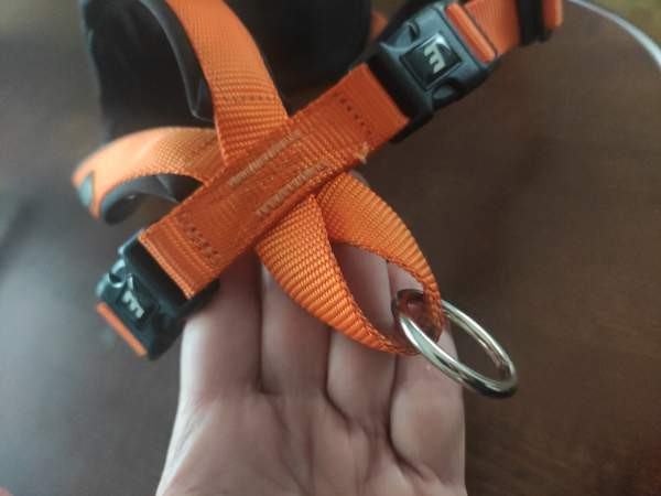 Icepeak Prozone koiranvaljaat koko S Loimaa - изображение 5