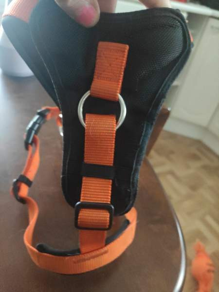 Icepeak Prozone koiranvaljaat koko S Loimaa - изображение 2