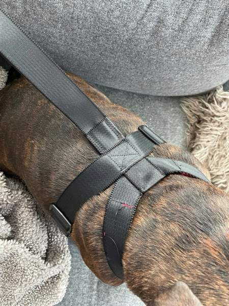 Clix car safe valjaat Nousiainen - photo 2