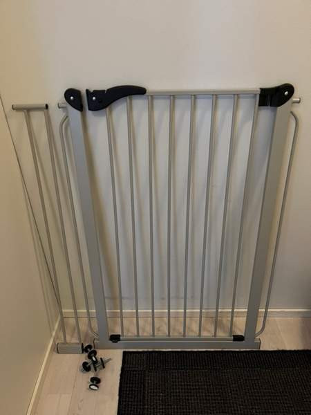 Koiraportti Yloejaervi - photo 1