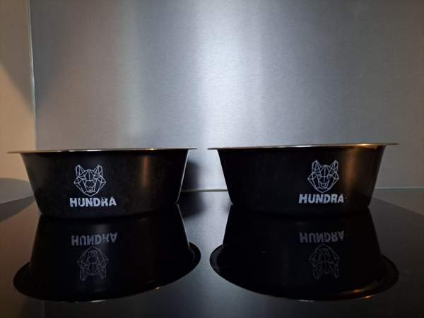 Isot koiran kupit Рийхимяки - изображение 1