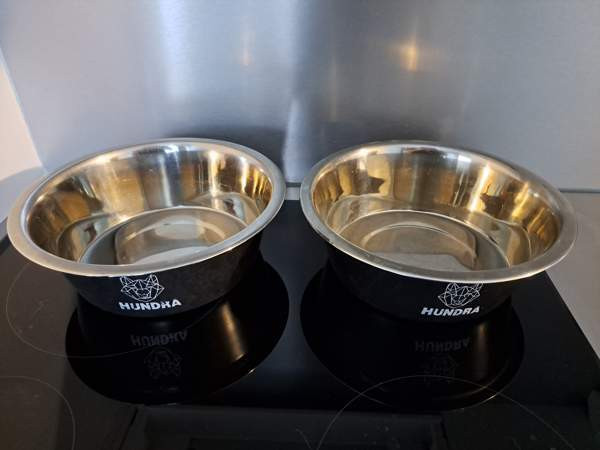 Isot koiran kupit Рийхимяки - изображение 2