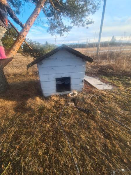 Eristetty koirankoppi Muhos - photo 1