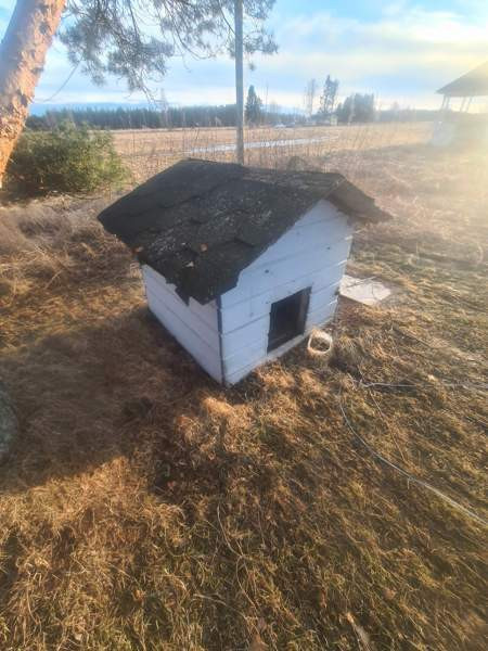 Eristetty koirankoppi Muhos - photo 2