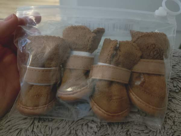 Pienen koiran talvikengät Vantaa – foto 4