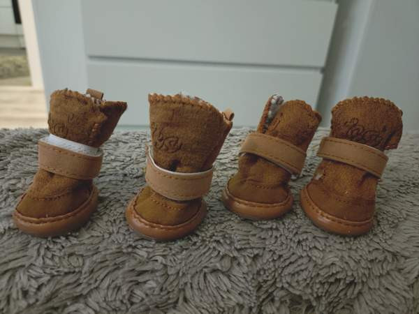 Pienen koiran talvikengät Vantaa – foto 1