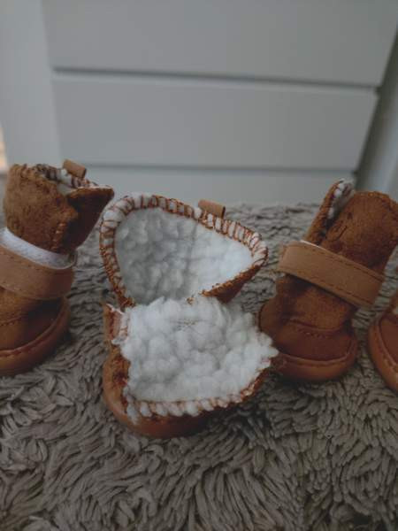 Pienen koiran talvikengät Vantaa – foto 2