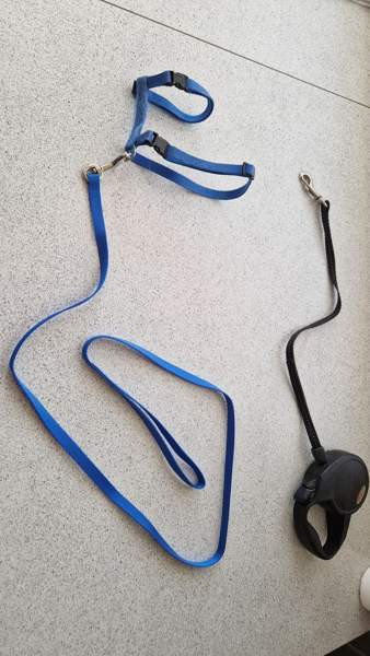 Kissan valjaat + naru + fleksi Оулу - изображение 1