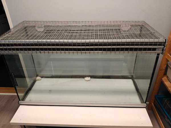 Terraario Kannus - изображение 1