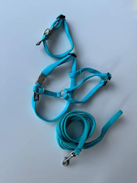 Basic Sweet pentusetti XXS sis. hihnan, valjaat ja kaulapannan Jyvaeskylae - photo 1