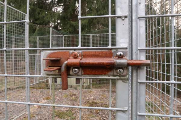 Laadukas koiratarha ja koirankoppi Parainen – foto 6