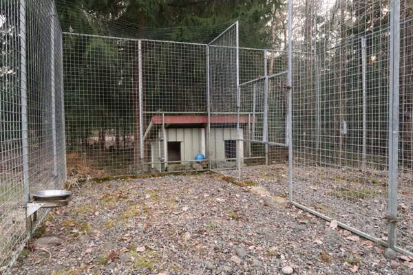 Laadukas koiratarha ja koirankoppi Parainen – foto 2