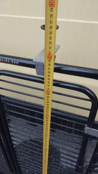 Kulkukoira veräjä Helsinki - valokuva 3