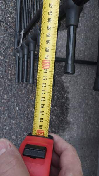 Kulkukoira veräjä Helsinki - valokuva 2