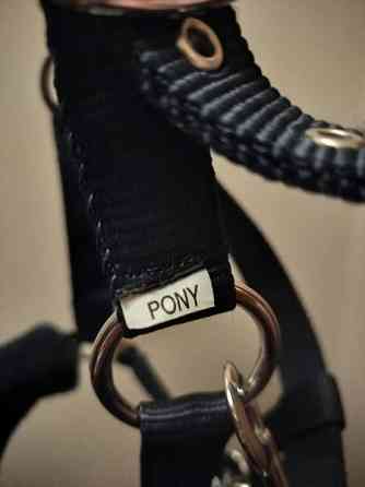 Riimu, kokoa pony Hyvinge