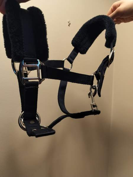 Riimu, kokoa pony Hyvinkää - valokuva 2