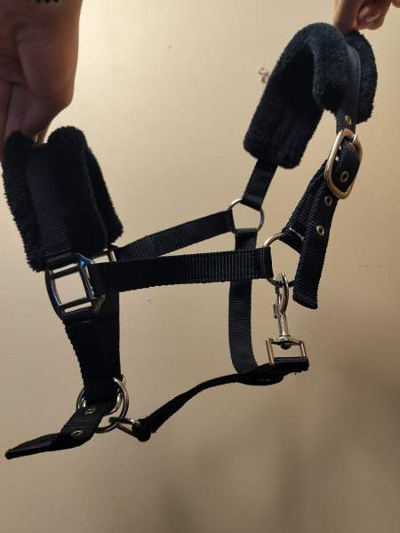 Riimu, kokoa pony Hyvinkää - valokuva 1